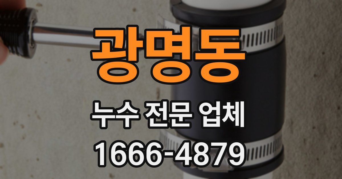 광명동 누수 전문 업체