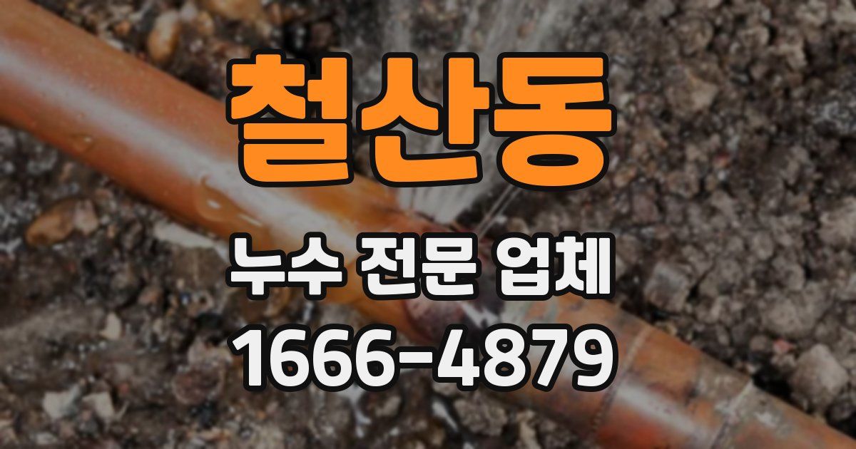 철산동 누수 전문 업체