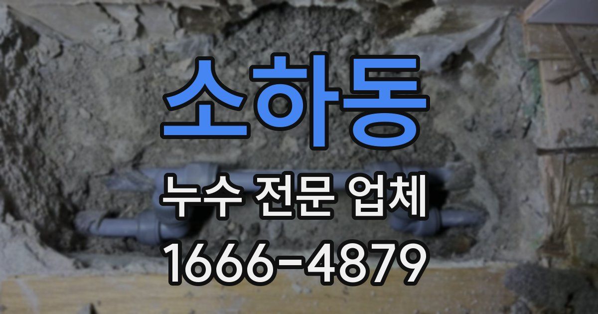 소하동 누수 전문 업체