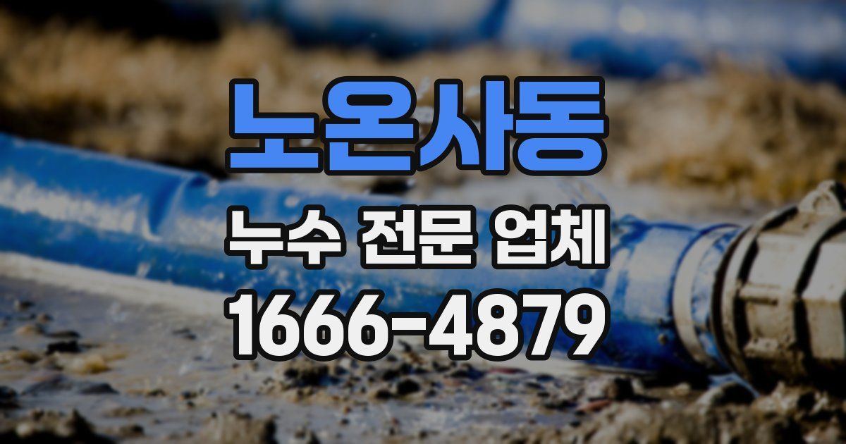 노온사동 누수 전문 업체