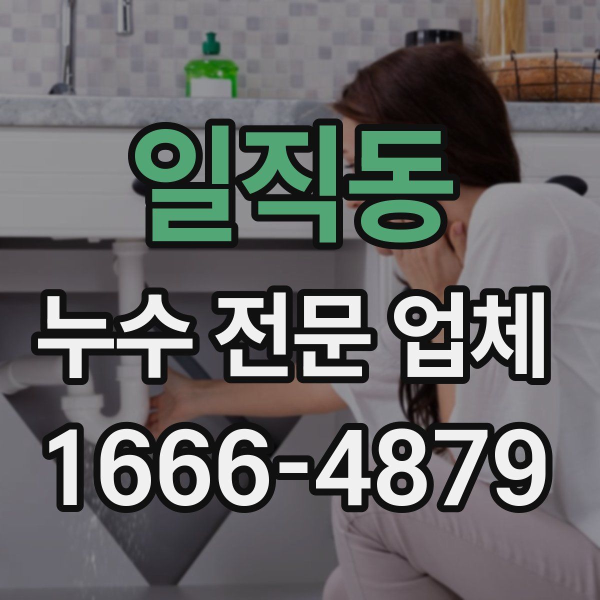 일직동 누수 전문 업체