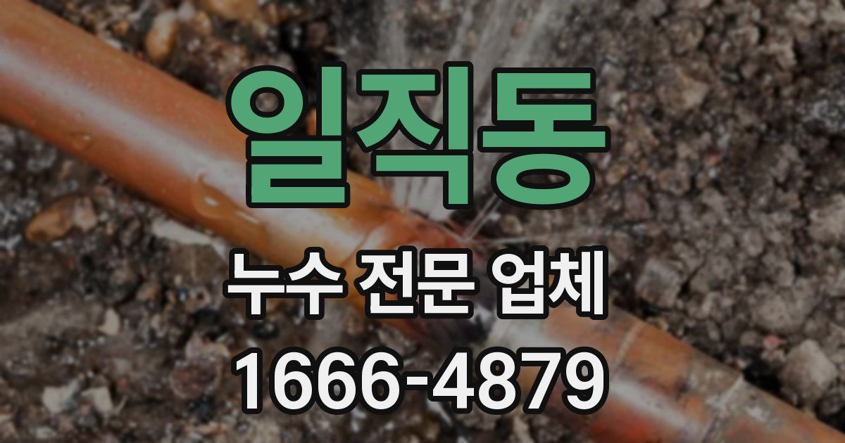일직동 누수 전문 업체