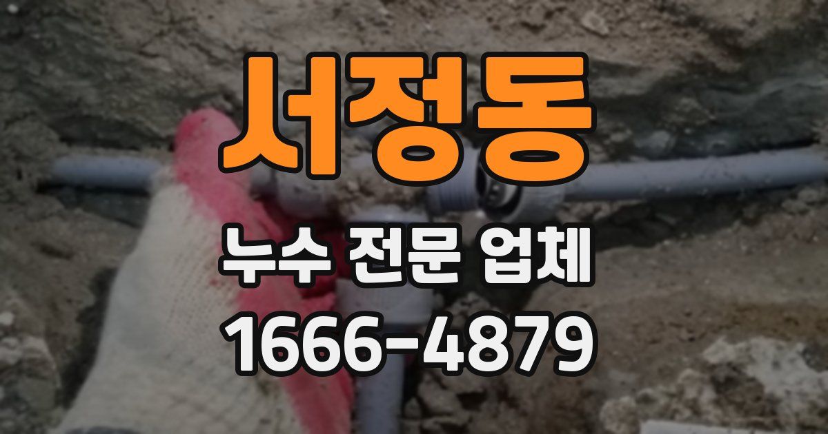 서정동 누수 전문 업체