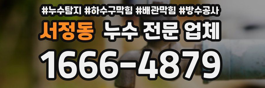 서정동 누수 전문 업체