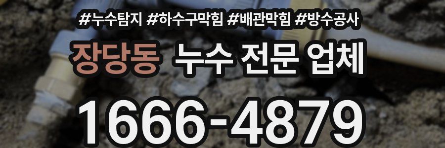 장당동 누수 전문 업체