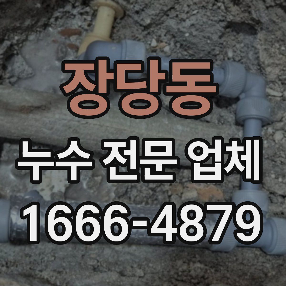 장당동 누수 전문 업체