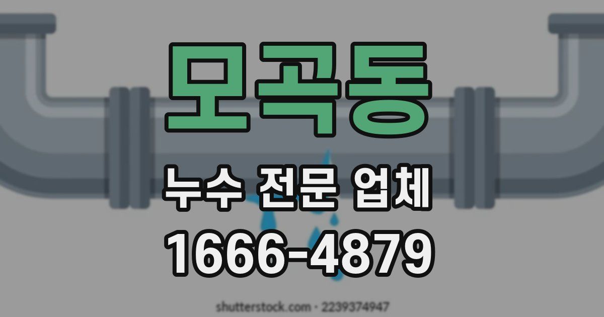 모곡동 누수 전문 업체