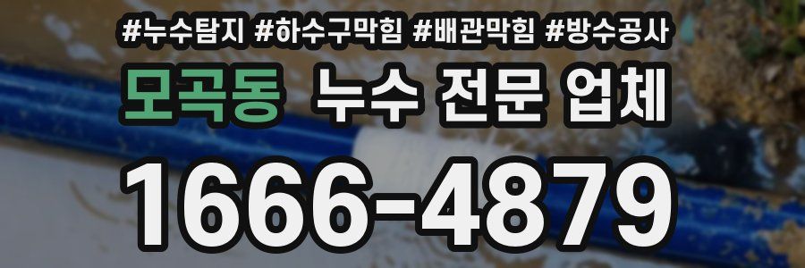 모곡동 누수 전문 업체