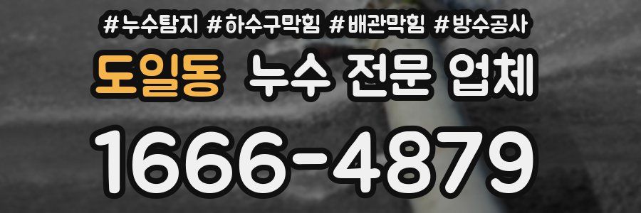 도일동 누수 전문 업체