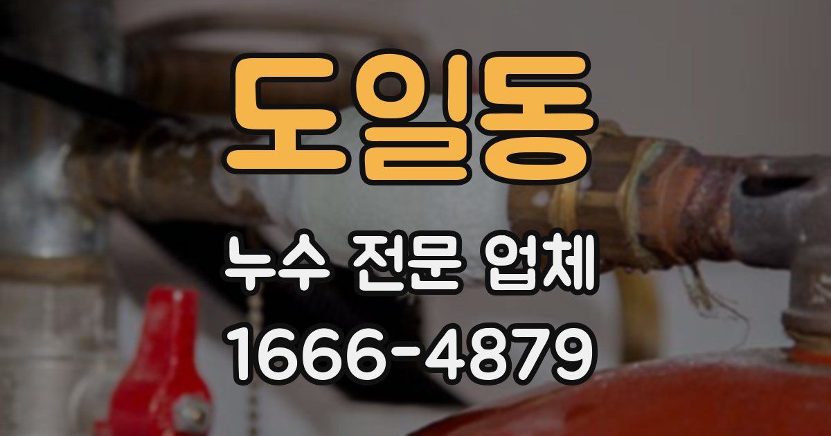 도일동 누수 전문 업체