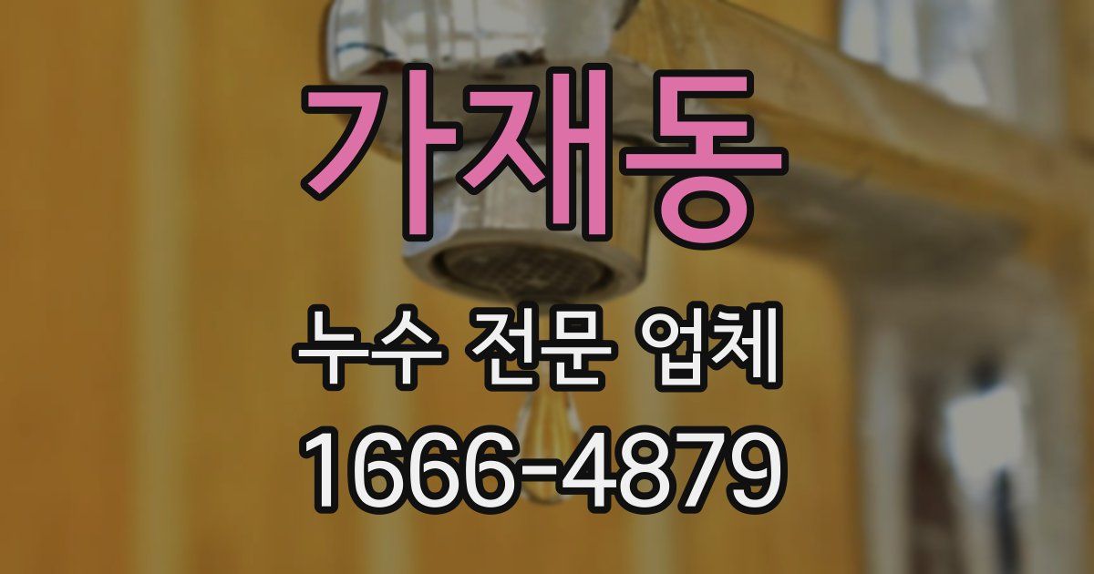 가재동 누수 전문 업체