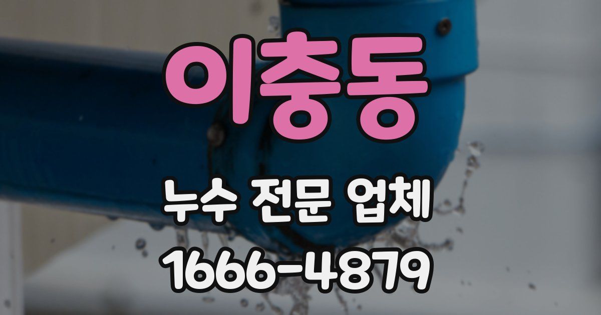 이충동 누수 전문 업체