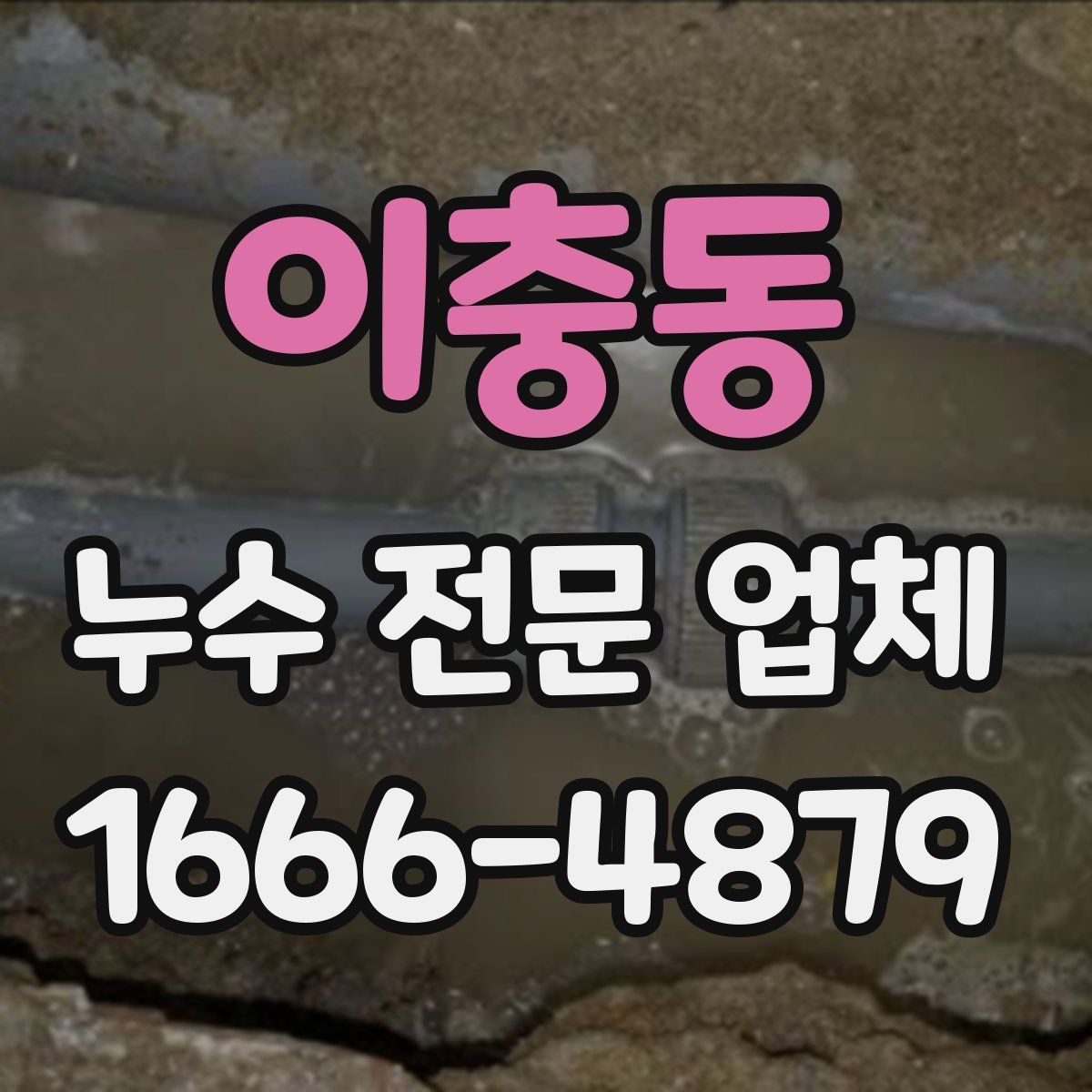 이충동 누수 전문 업체