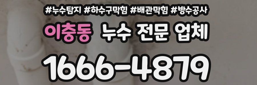 이충동 누수 전문 업체