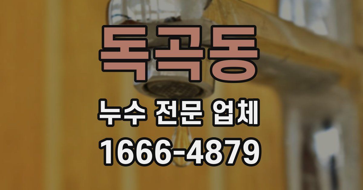 독곡동 누수 전문 업체