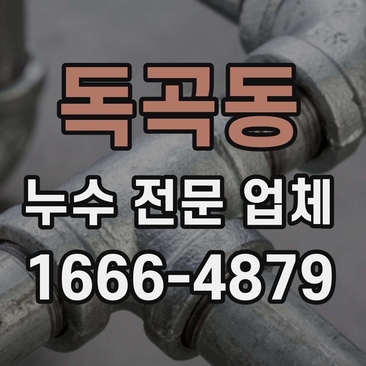독곡동 누수 전문 업체