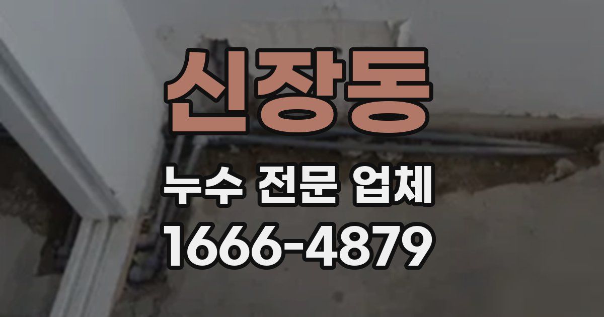 신장동 누수 전문 업체