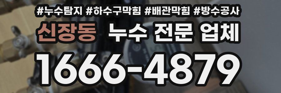 신장동 누수 전문 업체