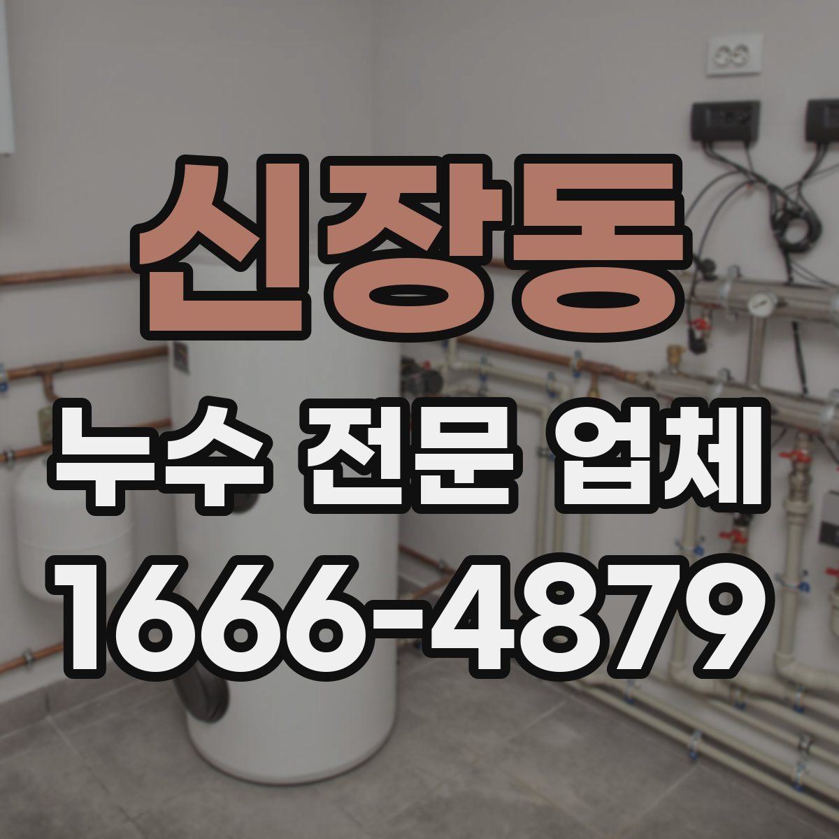 신장동 누수 전문 업체