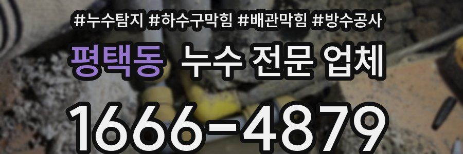 평택동 누수 전문 업체