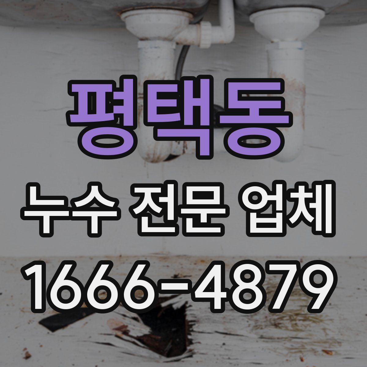 평택동 누수 전문 업체