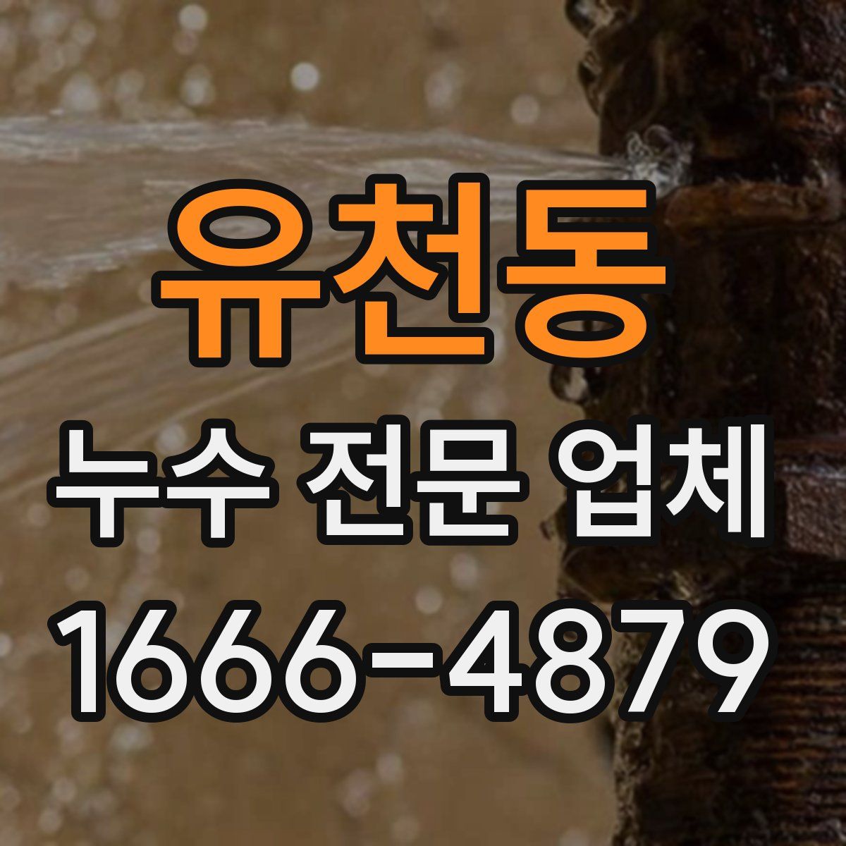 유천동 누수 전문 업체