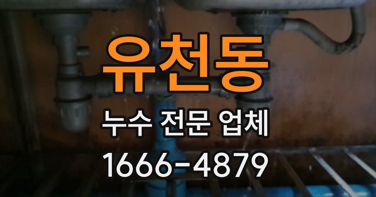 유천동 누수 전문 업체