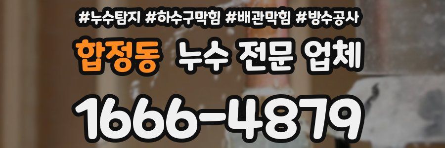 합정동 누수 전문 업체