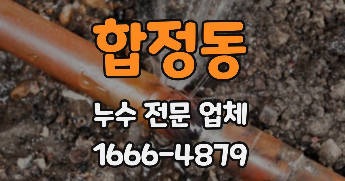 합정동 누수 전문 업체