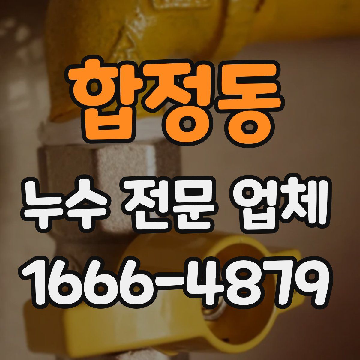 합정동 누수 전문 업체