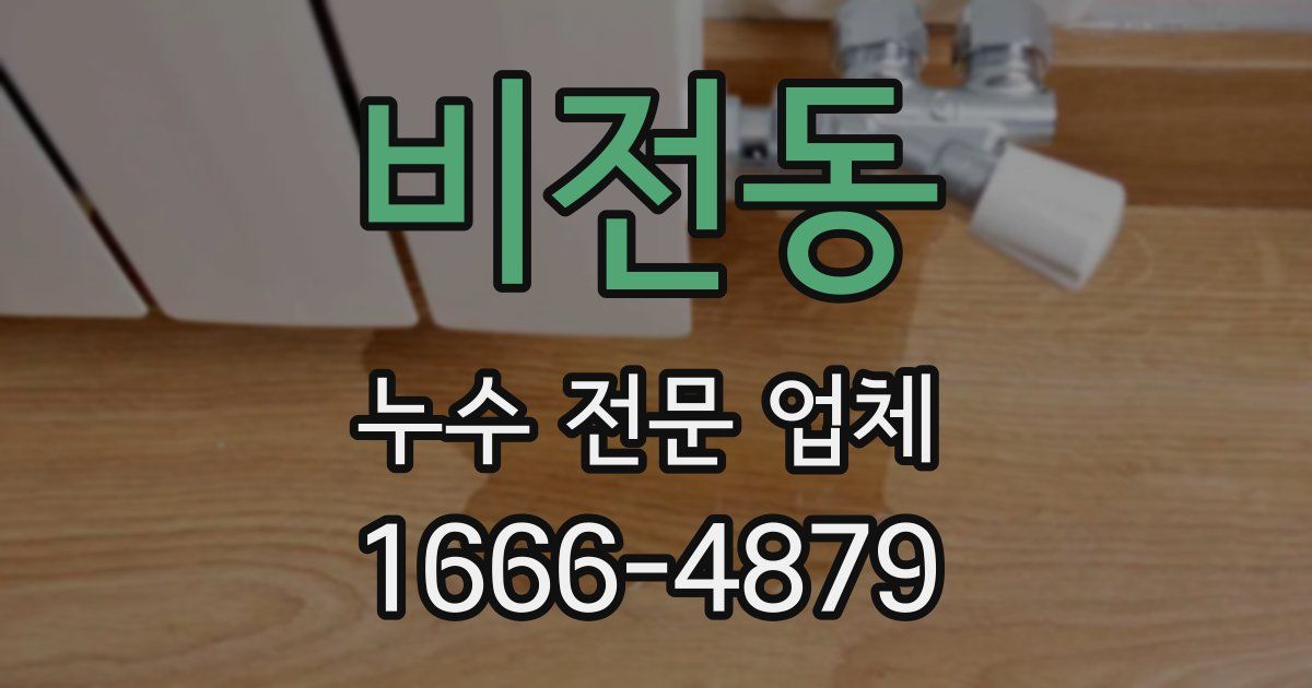 비전동 누수 전문 업체