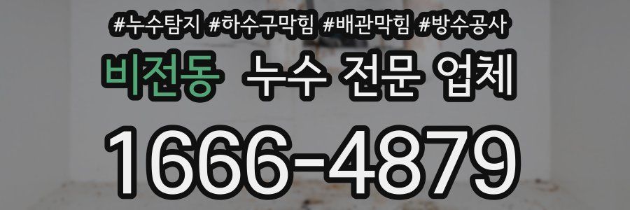 비전동 누수 전문 업체