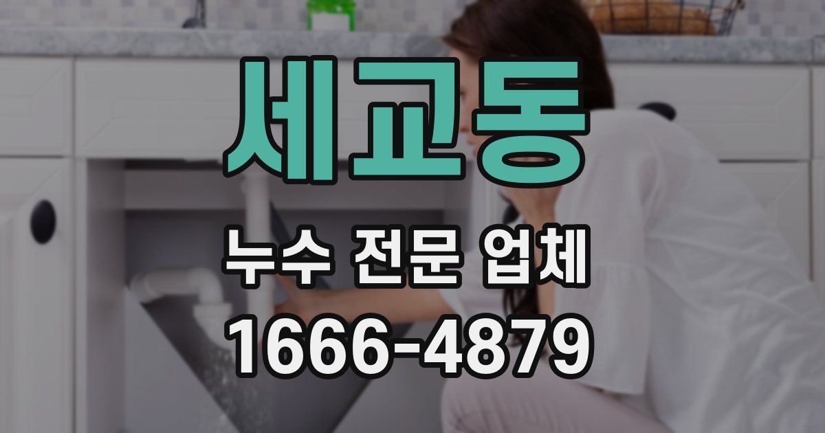 세교동 누수 전문 업체