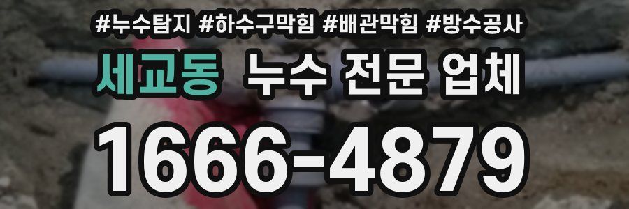세교동 누수 전문 업체