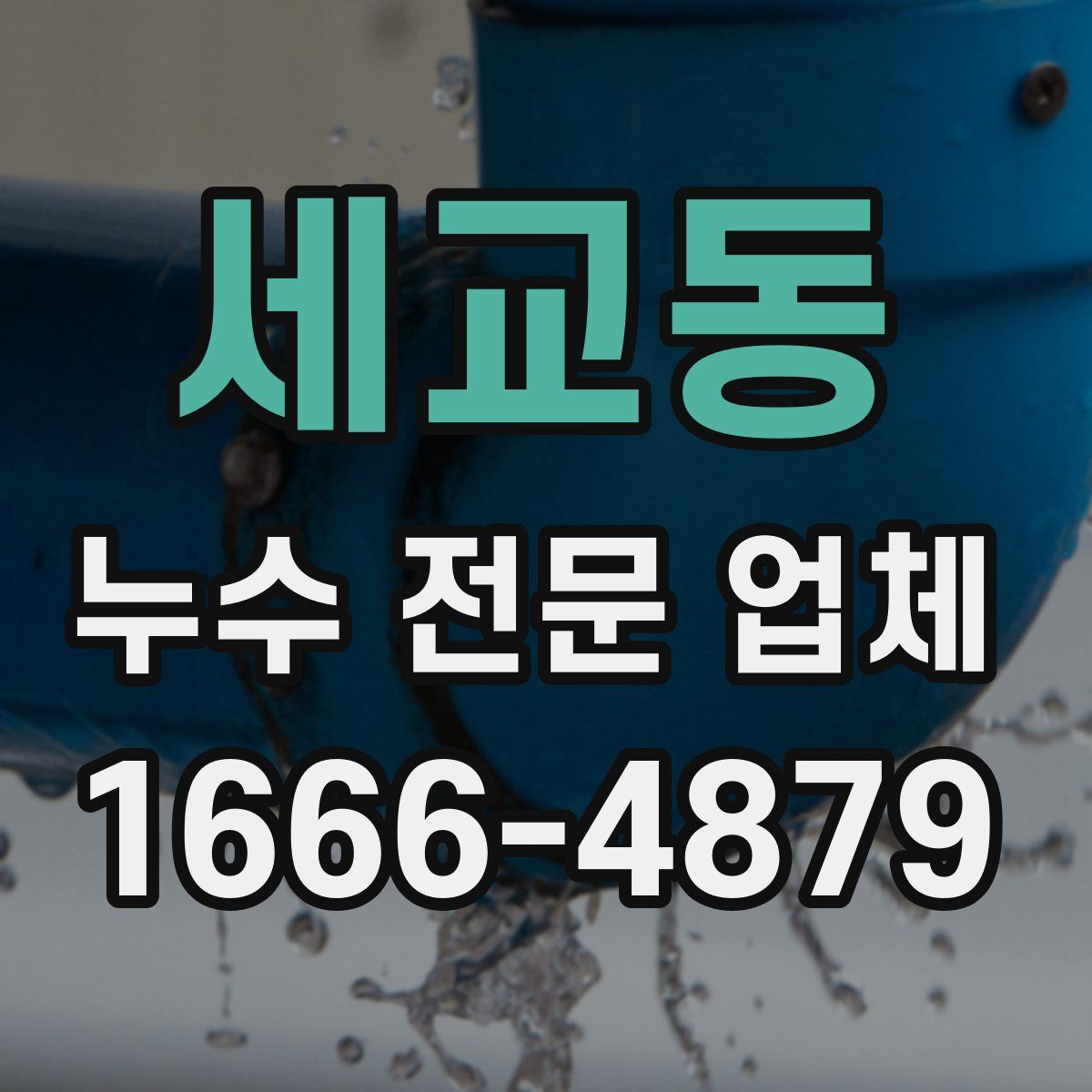 세교동 누수 전문 업체
