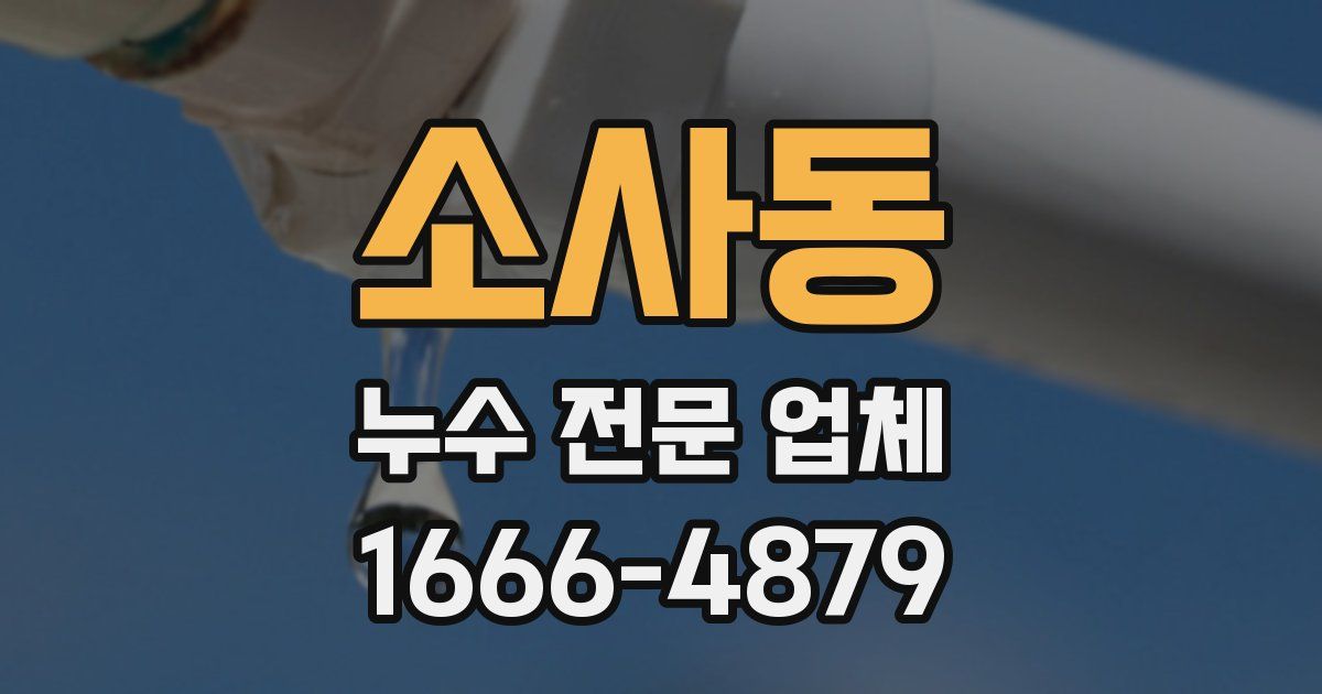 소사동 누수 전문 업체