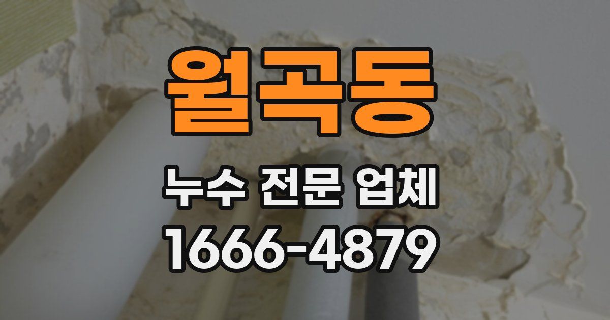 월곡동 누수 전문 업체