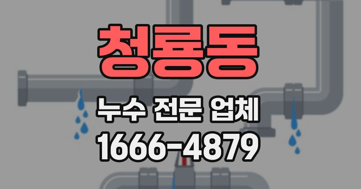 청룡동 누수 전문 업체