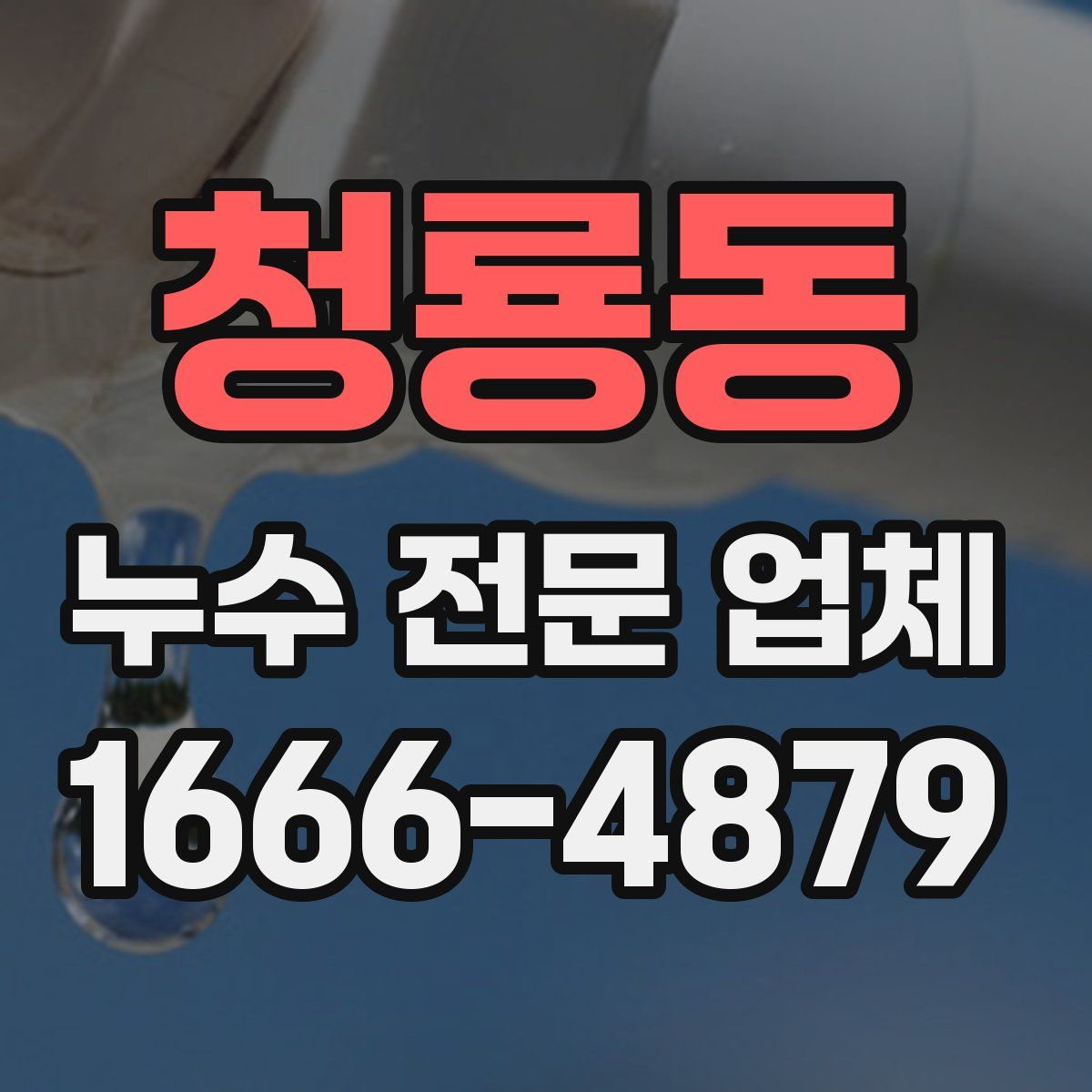 청룡동 누수 전문 업체