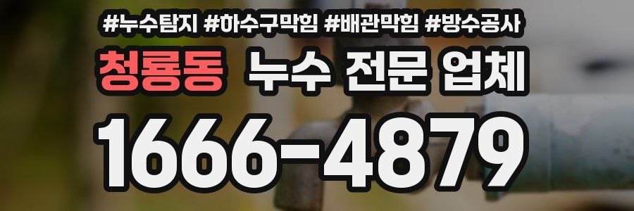 청룡동 누수 전문 업체