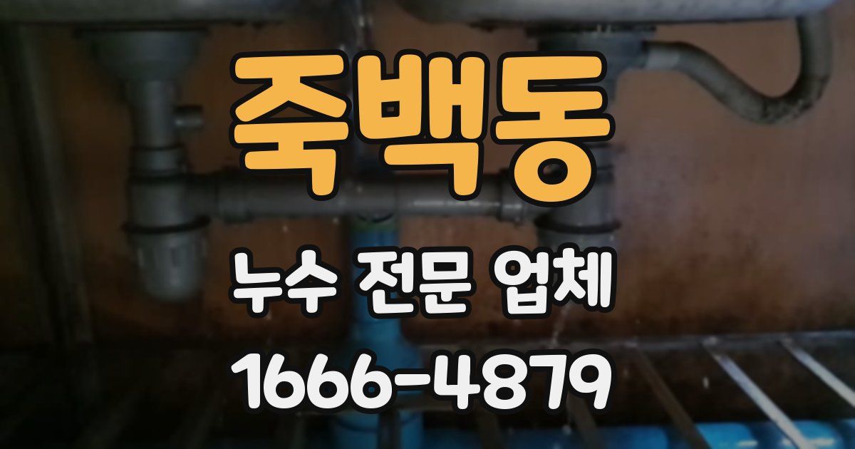 죽백동 누수 전문 업체