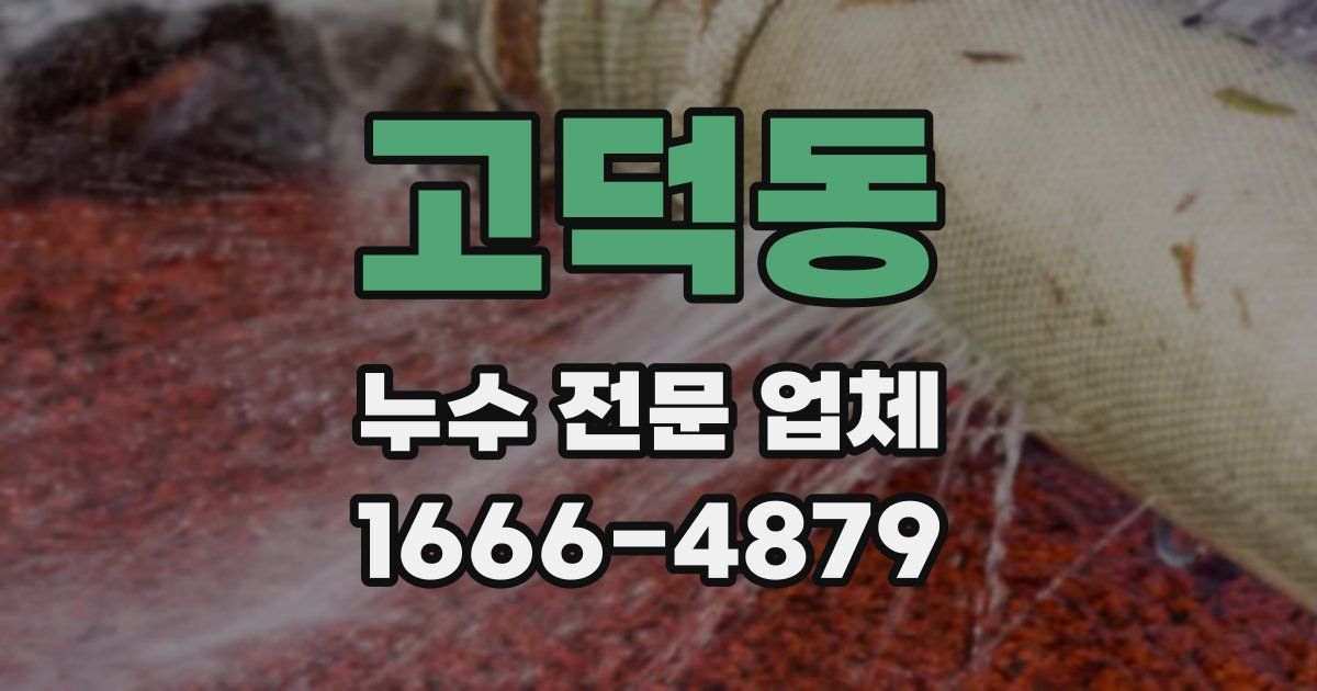 고덕동 누수 전문 업체