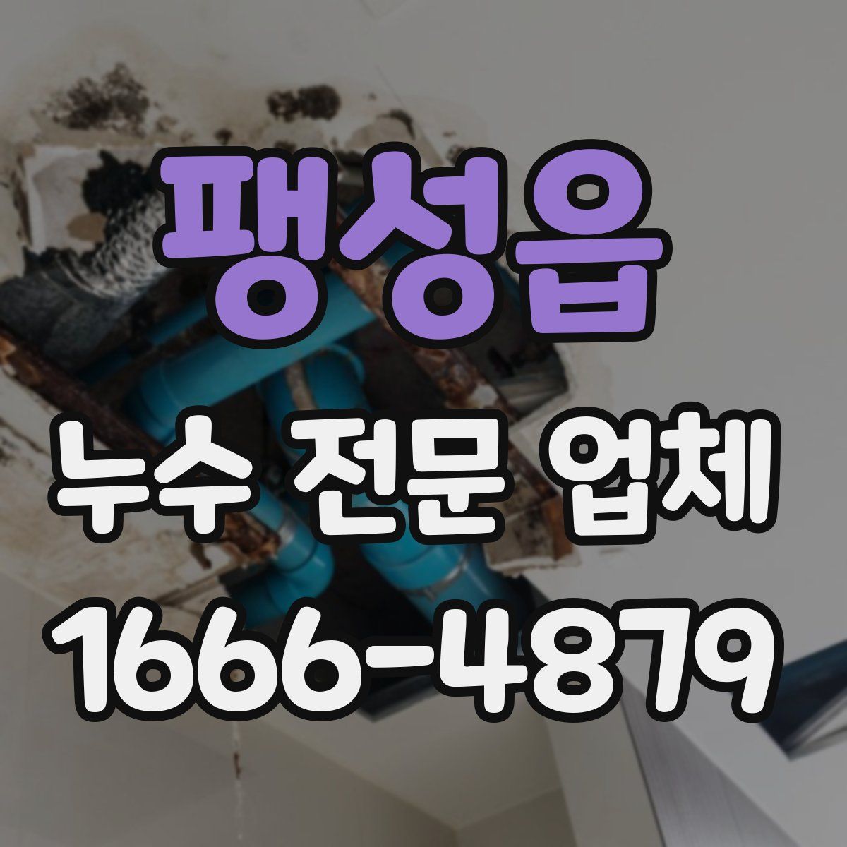 팽성읍 누수 전문 업체