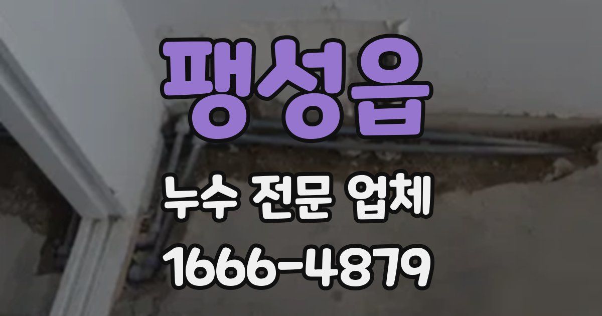 팽성읍 누수 전문 업체