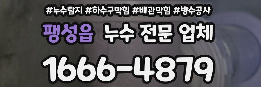 팽성읍 누수 전문 업체