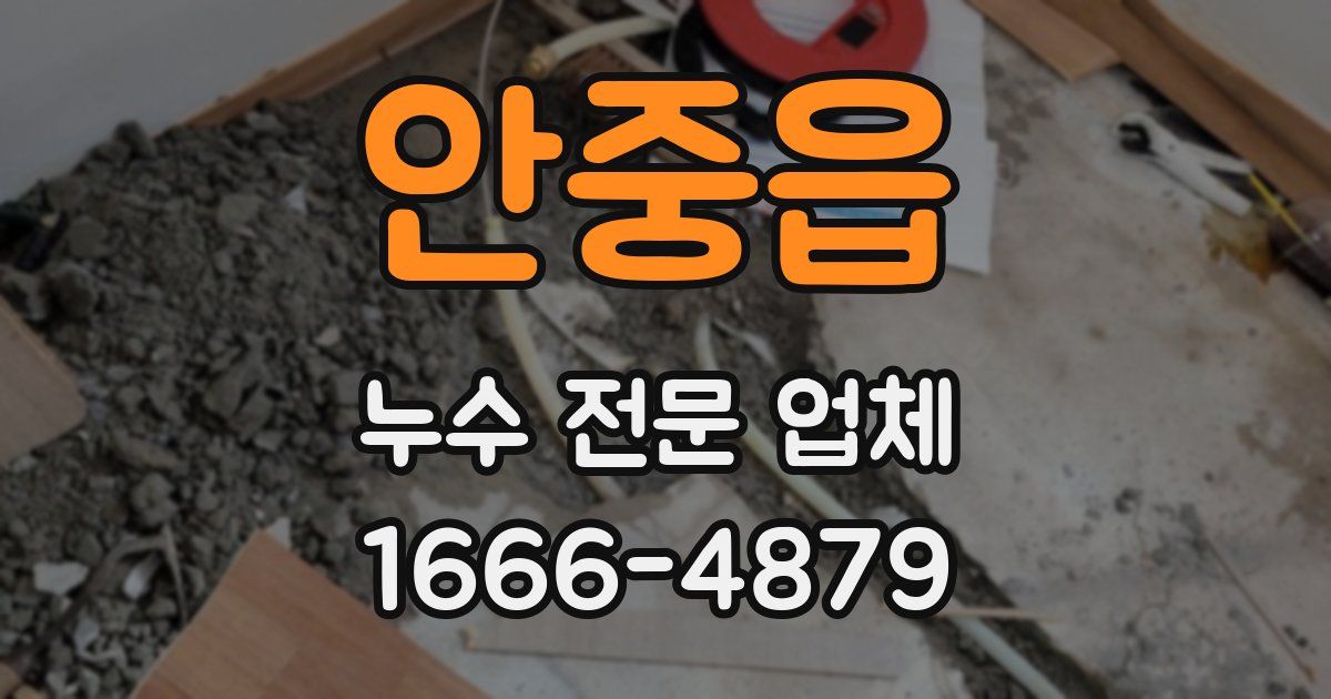 안중읍 누수 전문 업체