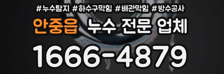안중읍 누수 전문 업체