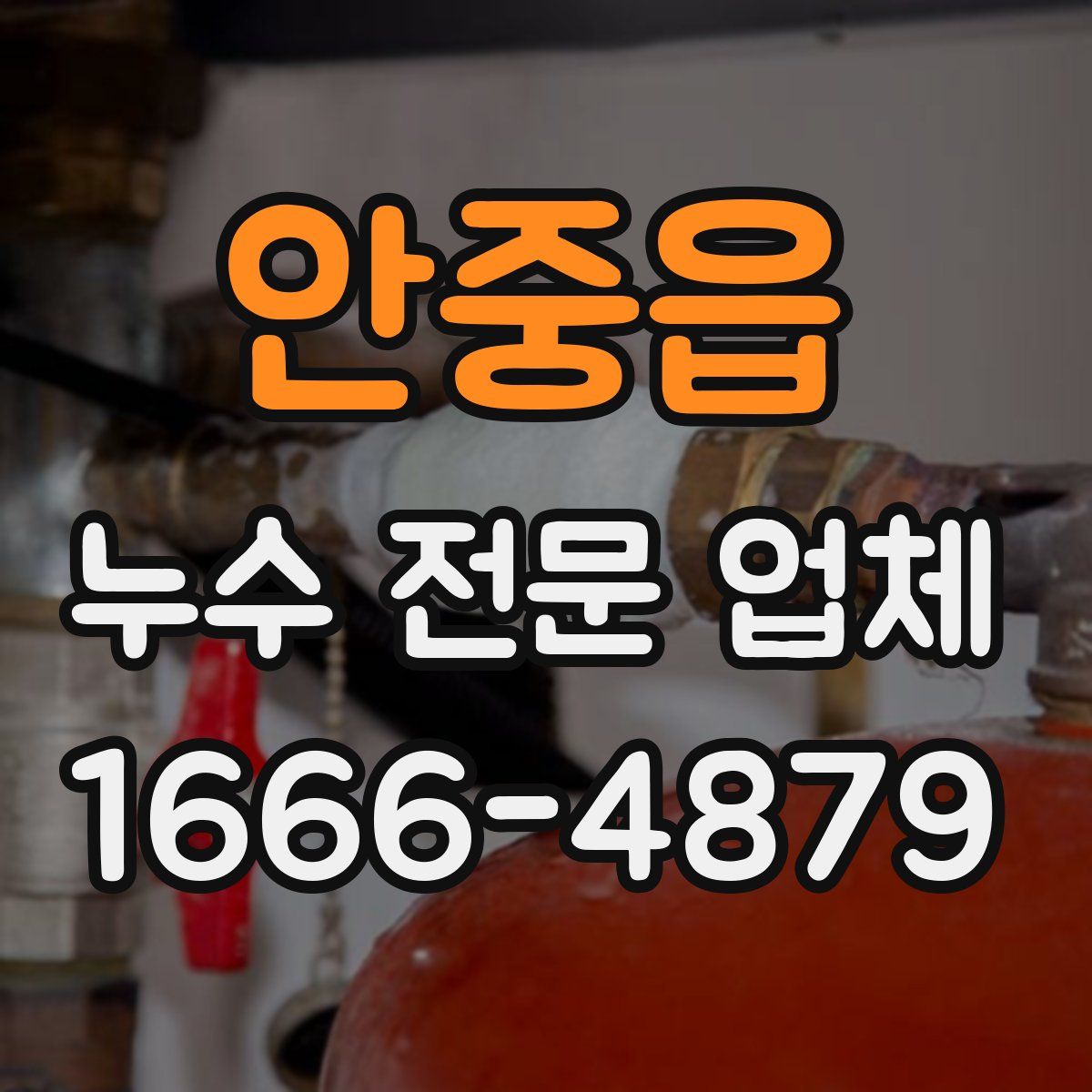 안중읍 누수 전문 업체