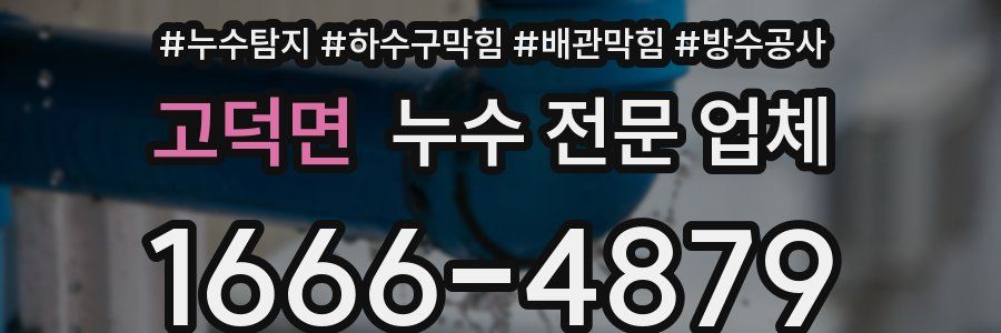 고덕면 누수 전문 업체