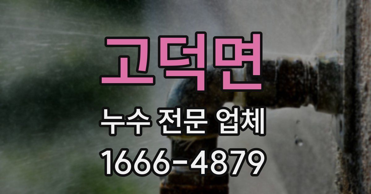 고덕면 누수 전문 업체